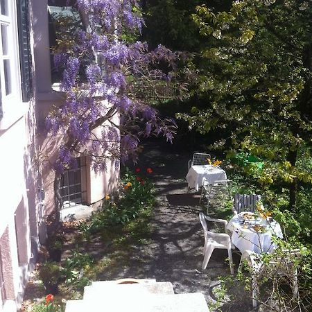 Garden Studio Apartment Zuerichberg Room photo