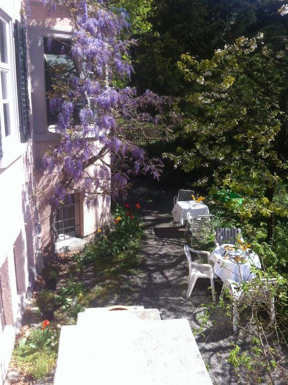 Garden Studio Apartment Zuerichberg Room photo